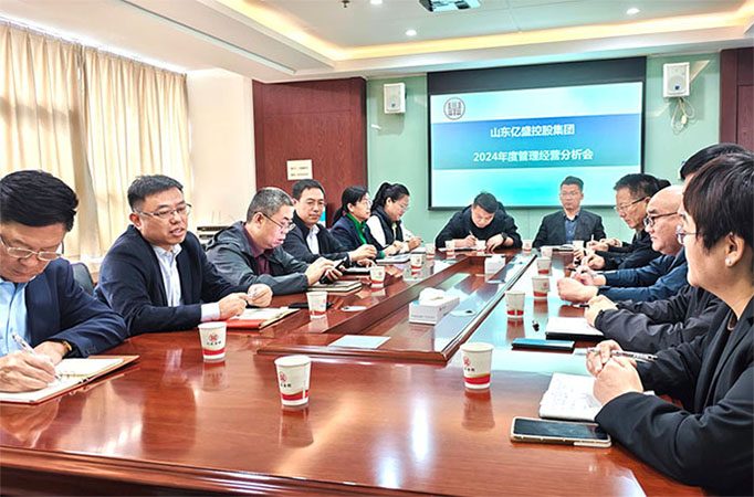 亿盛集团召开2024年度经营管理分析会