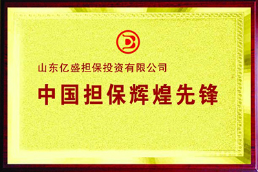 中国担保辉煌先锋.jpg